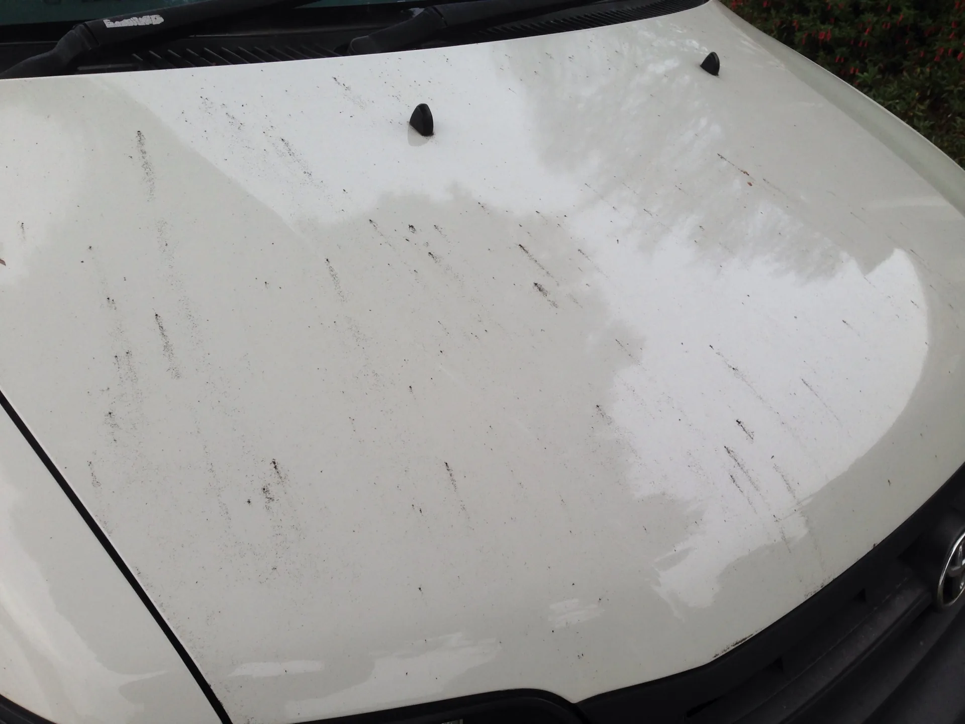 Contamination across a white panel before treatment