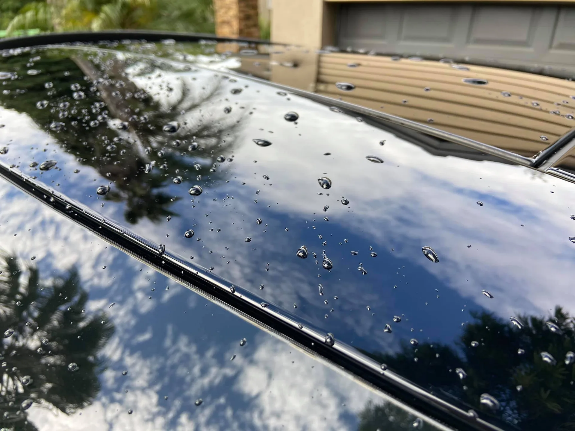 Speckled fallout across a black roof