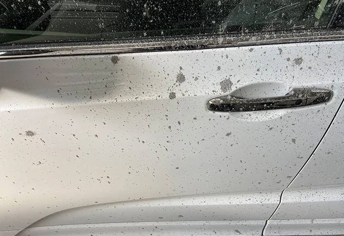 Technician removing paint overspray from a vehicle panel by hand